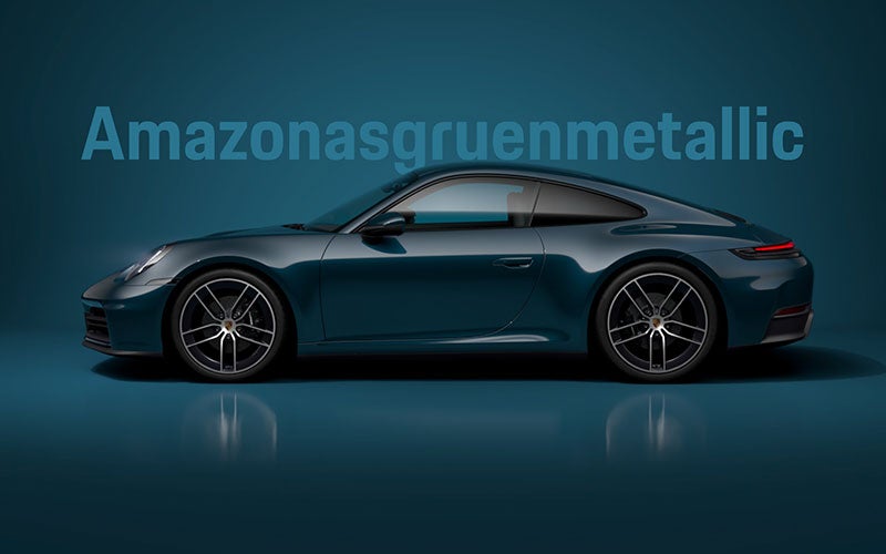 Porsche 911 Paint To Sample